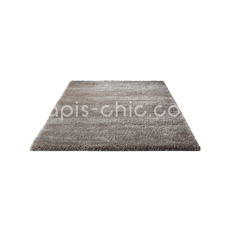 Tapis Freestyle Grège par Esprit Home