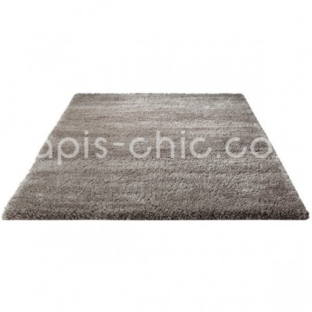 Tapis Freestyle Grège par Esprit Home Tapis Freestyle Grège par Esprit Home