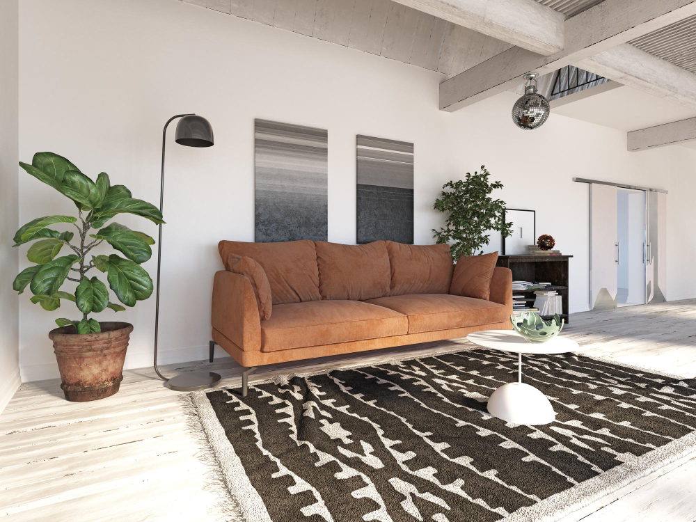 tapis de salon design